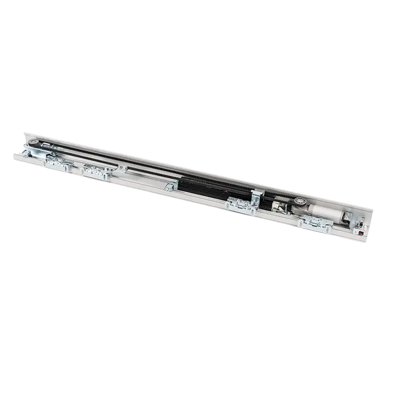 Automatic Swing Door